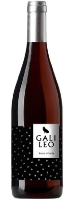 Italian Red Wine bottle from Italy region